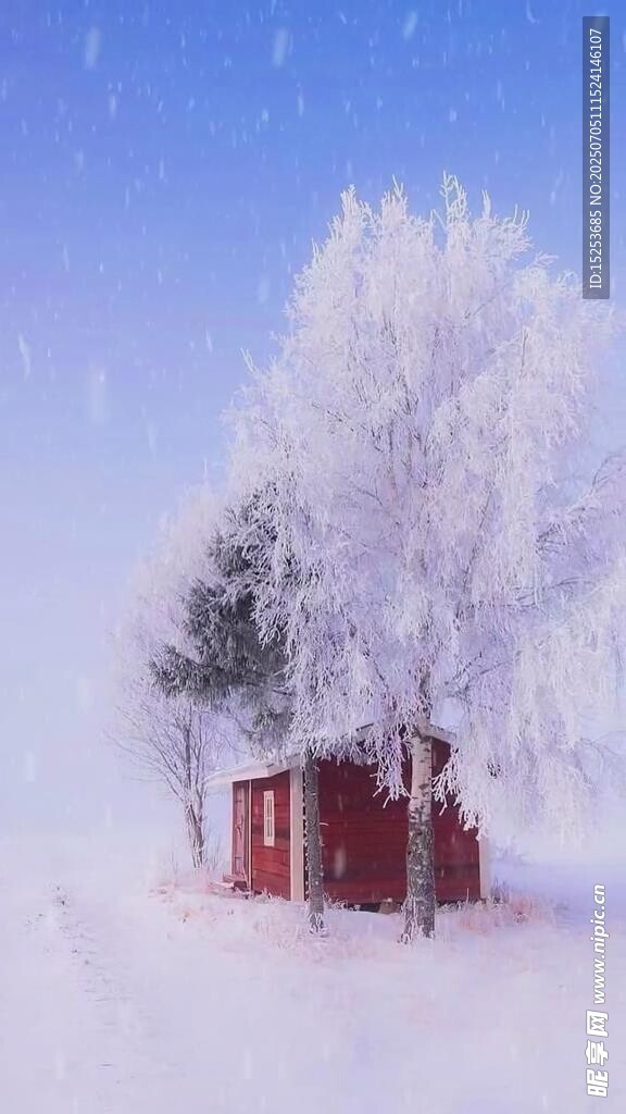 雪覆小屋与树木的冬日美景