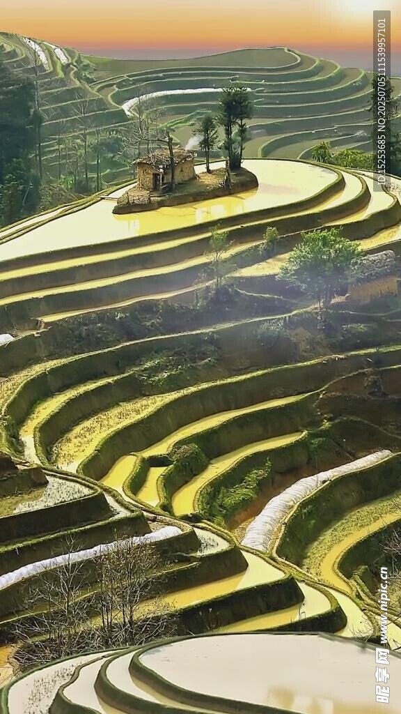 壮观梯田美景