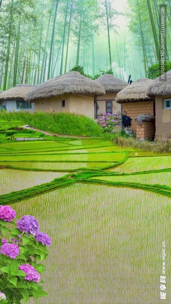 竹林旁的田园小屋美景