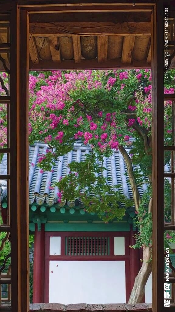 古建窗前绽放的艳丽繁花