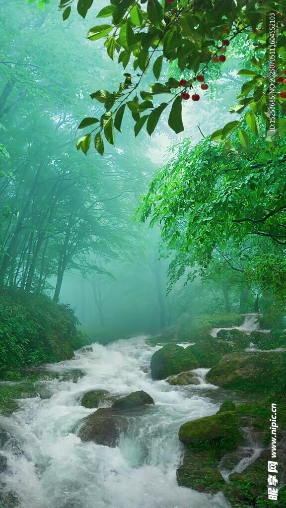 山林间潺潺溪流美景