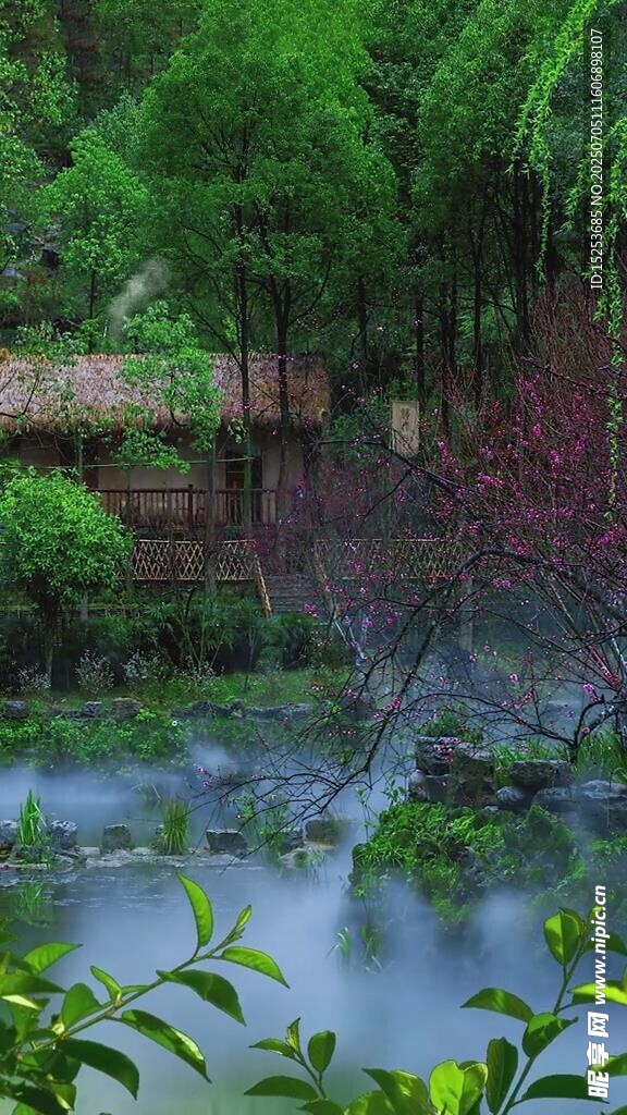 清幽山林间的静谧水景