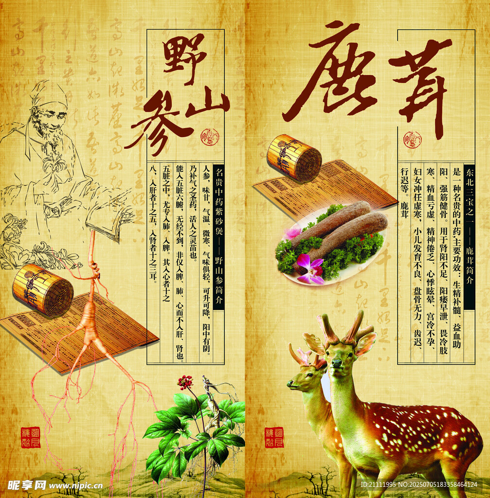 野生山参鹿茸滋补珍品