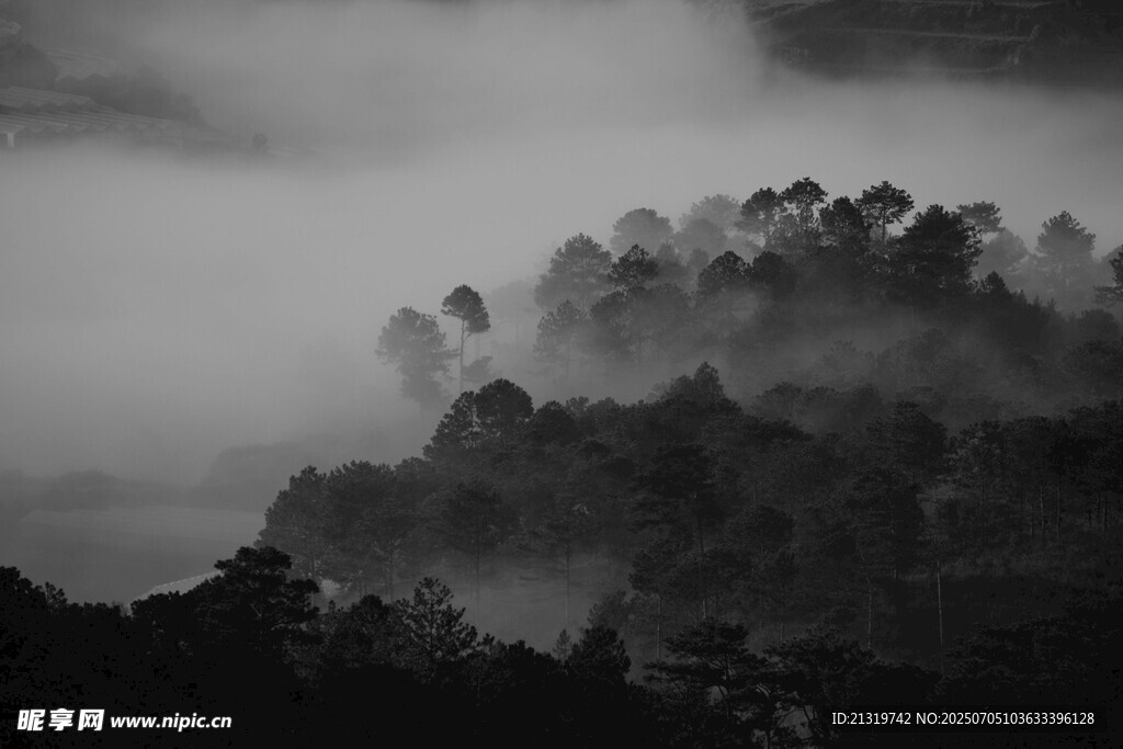 雾中山林景致