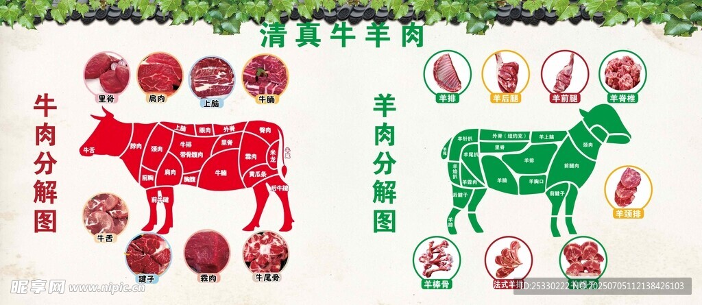 牛羊肉分割图
