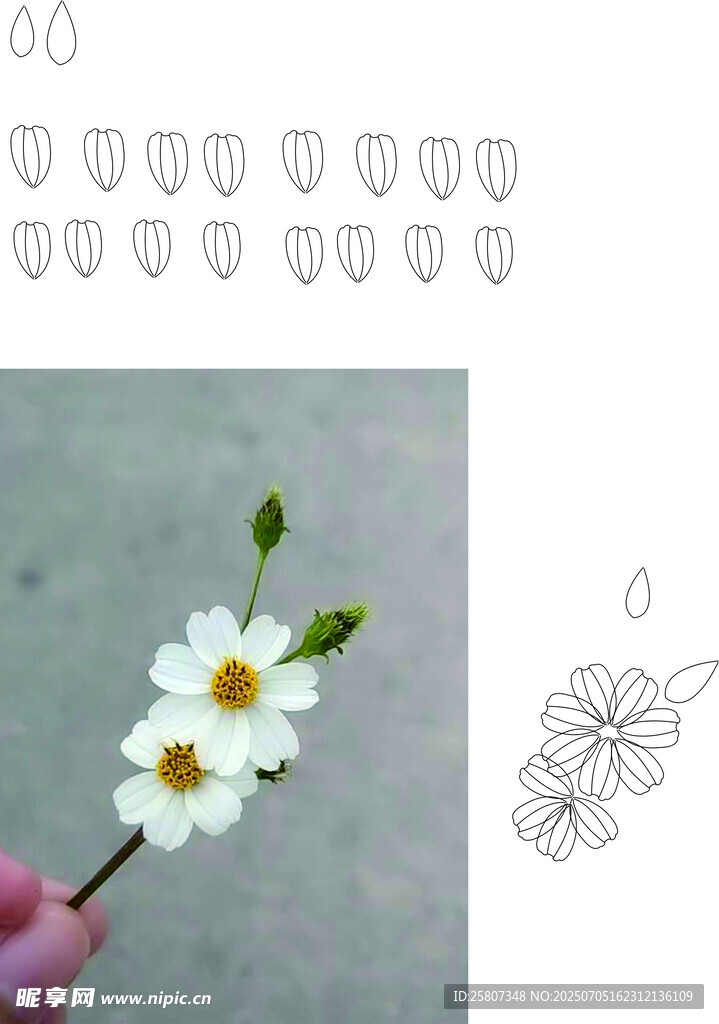 手捧白花及花朵图案素材