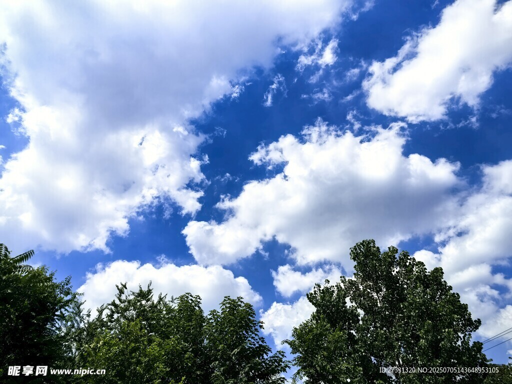 蓝天绿树间的白云美景