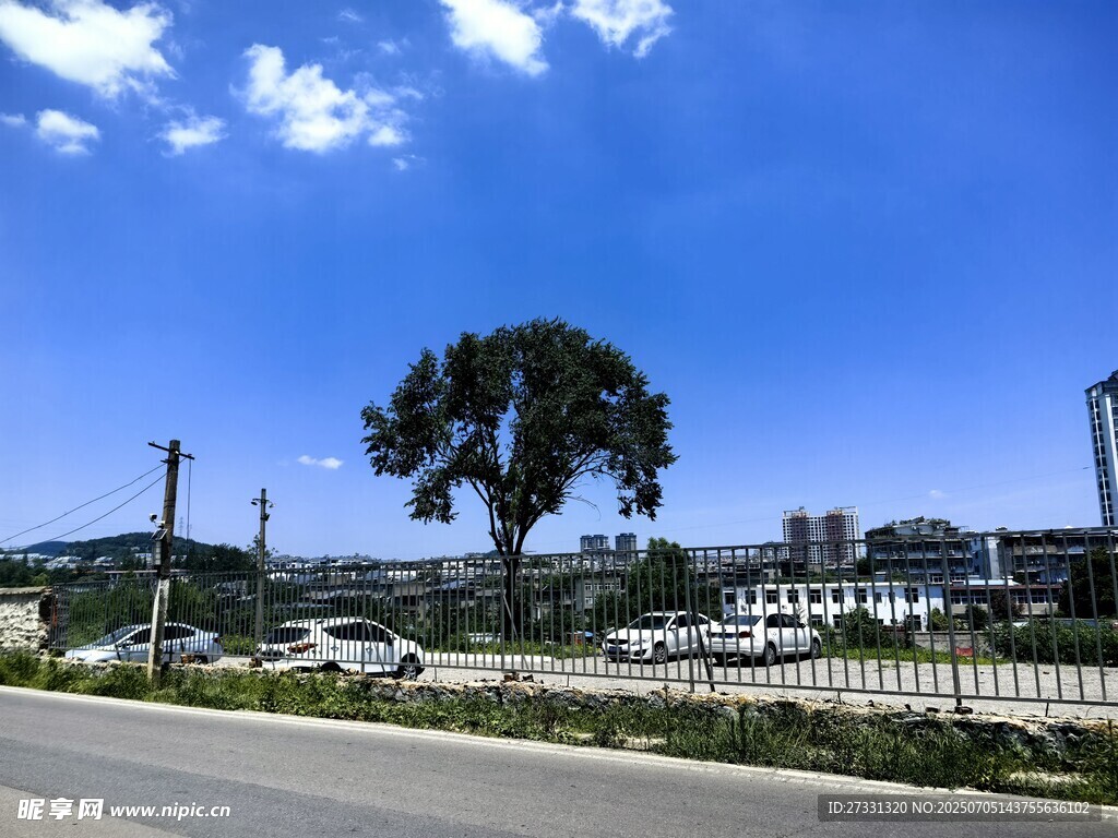 公路旁的蓝天绿树风景
