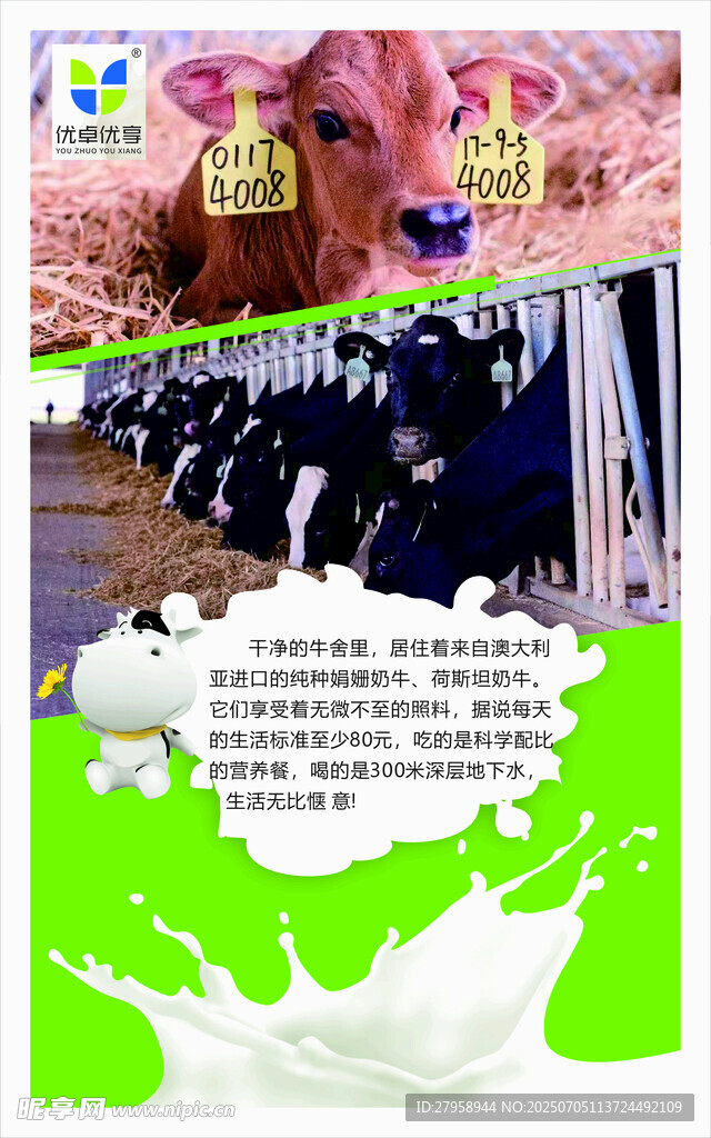 宠物美容服务宣传图