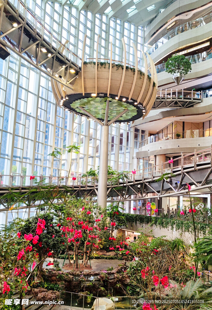 室内花园景观绿植环绕