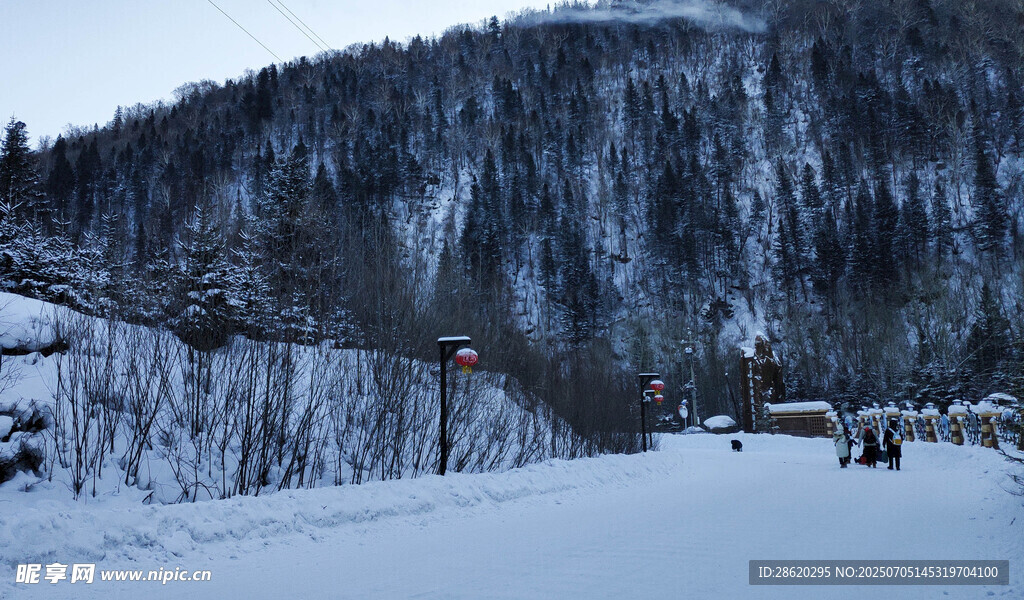 冬日雪景中的山间道路场景