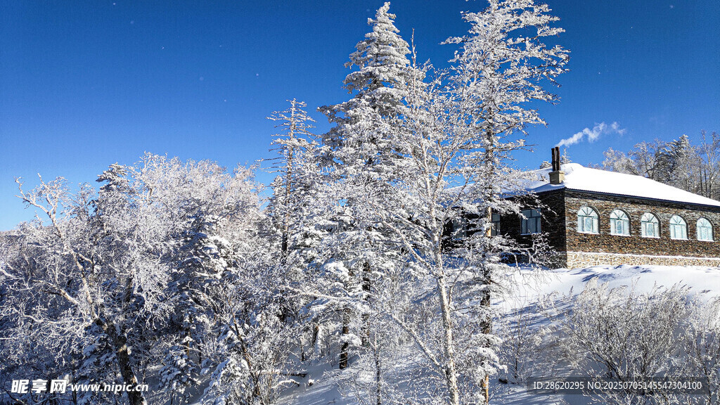 雪覆山林中的静谧小屋