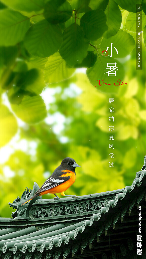 小暑节气海报