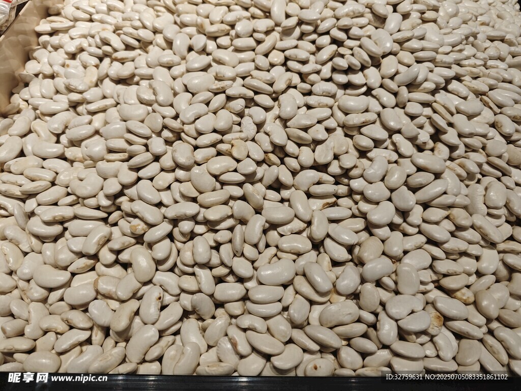大量白瓜子整齐摆放