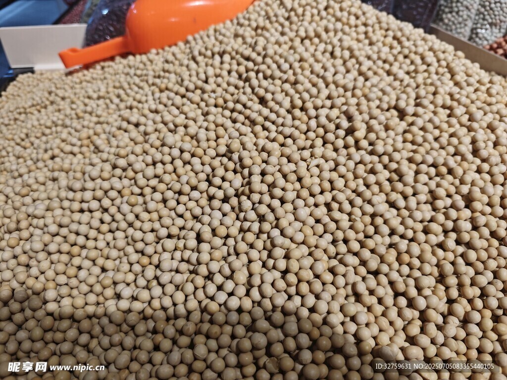 大量饱满大豆堆成小山