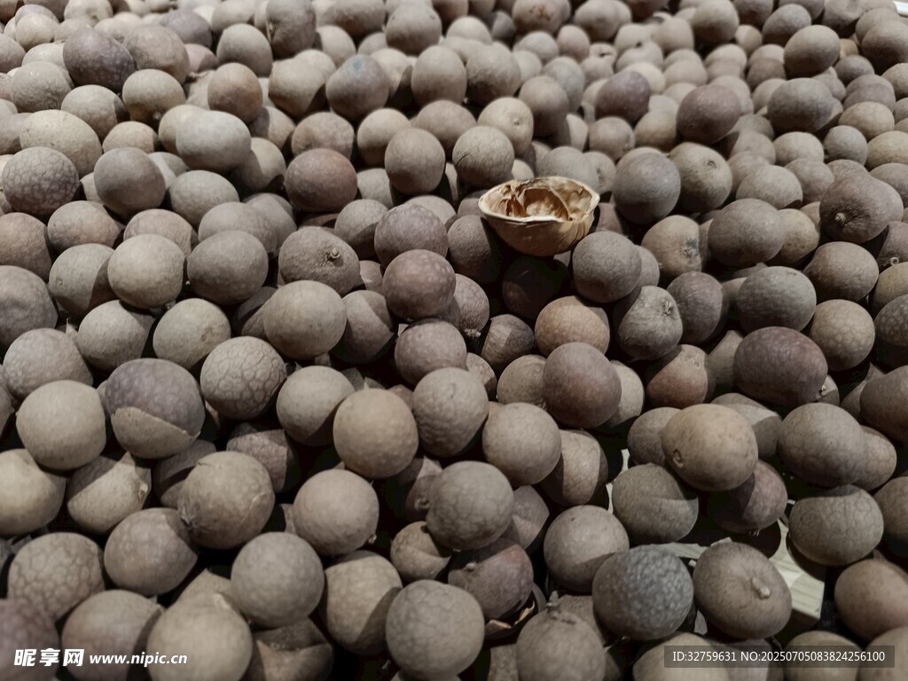 一堆褐色果实中的独特一颗
