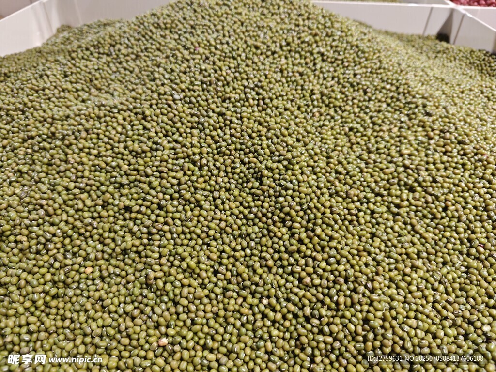 大量绿豆堆成小山