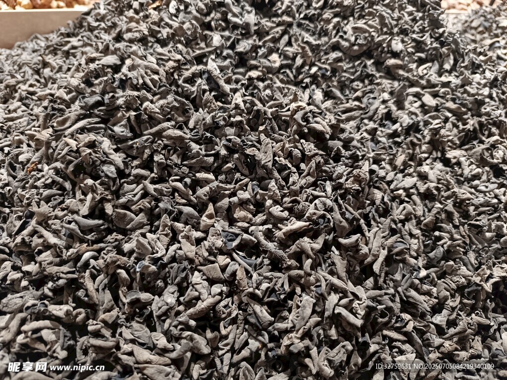 木耳