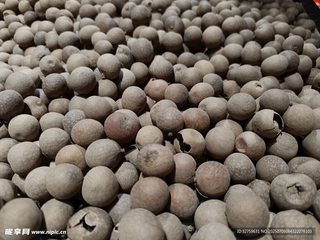 桂圆