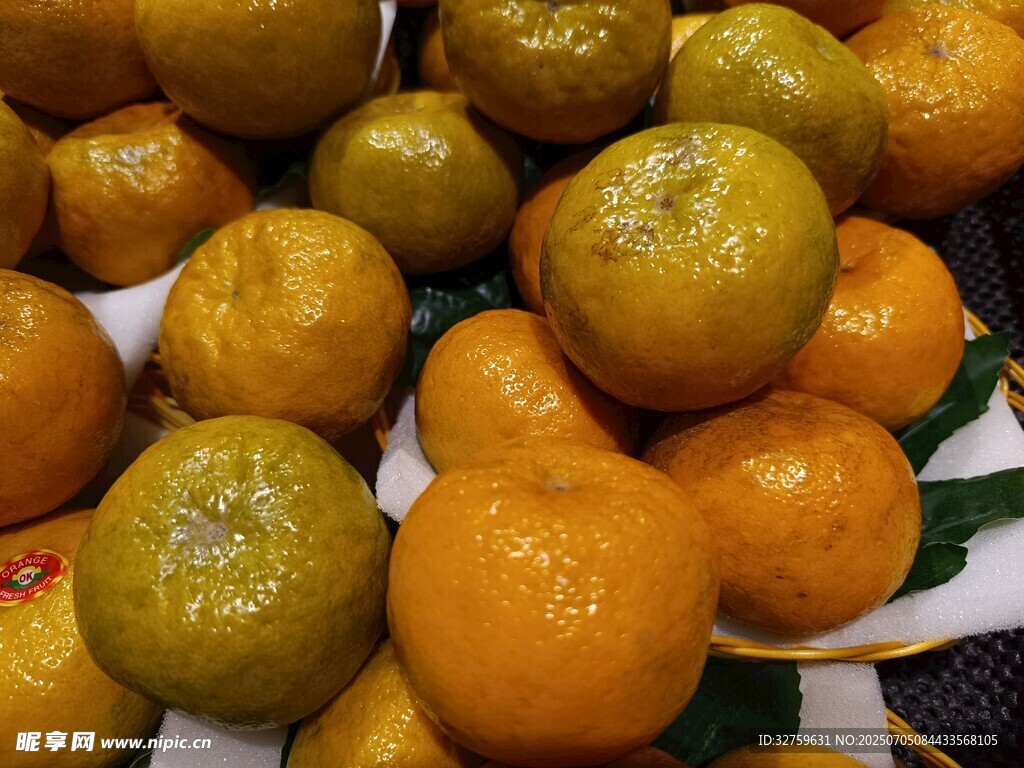 新鲜饱满的柑橘果实