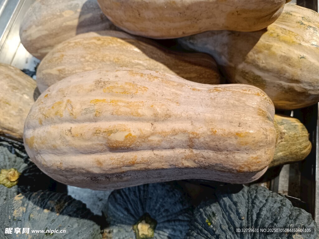 一堆新鲜南瓜待售