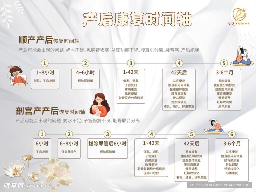 产后康复  产后恢复  时间图