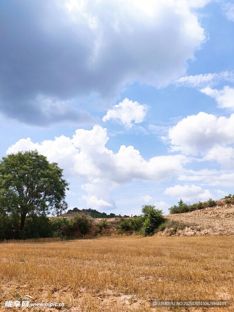 田间地头