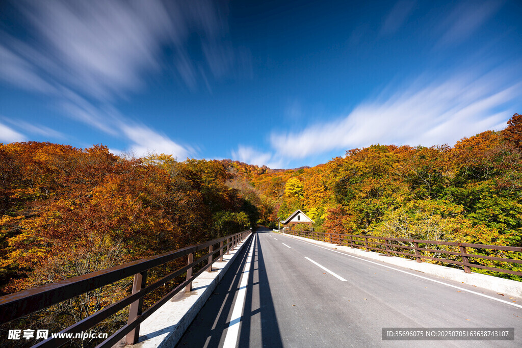秋日公路美景