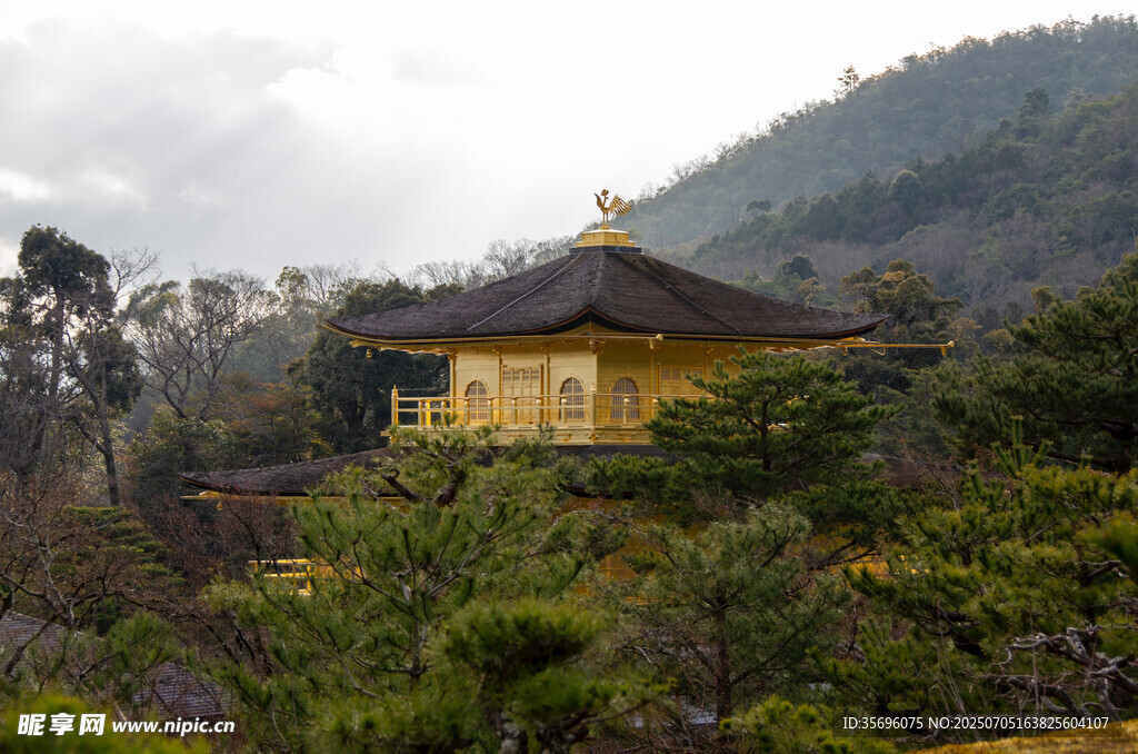 山间黄顶建筑隐于绿植间