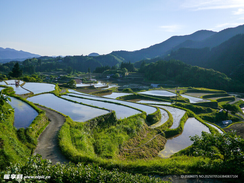 山间梯田美景
