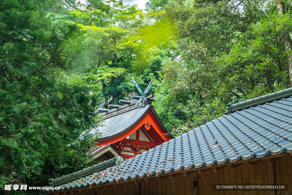 林间古建屋顶一角