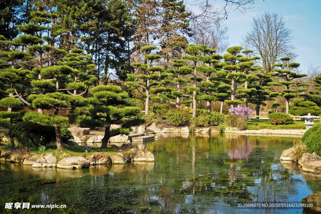 日式园林湖畔美景
