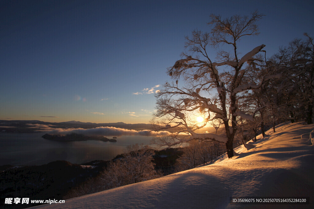 雪岭黄昏孤树美景