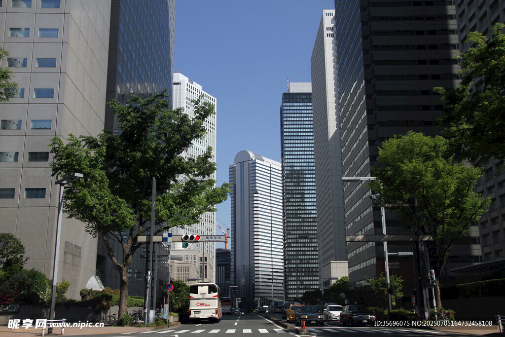 都市街道高楼与绿树景观