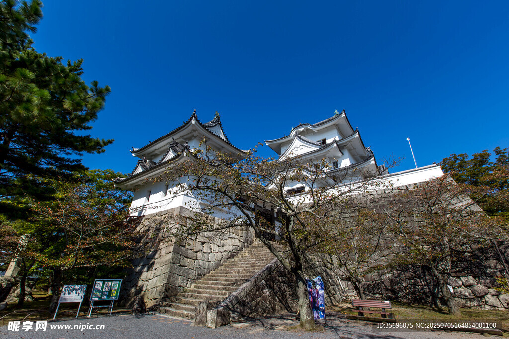 日本姬路城美景