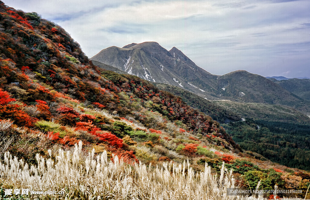 山间绚烂秋色景观