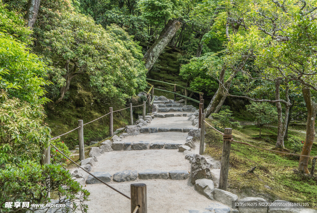 山林间的木质步道景观