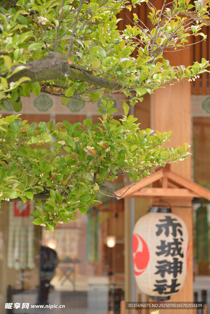 日式街景中的传统店铺
