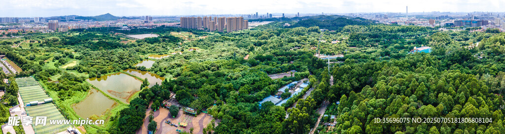 全景航拍广州长隆野生动物园