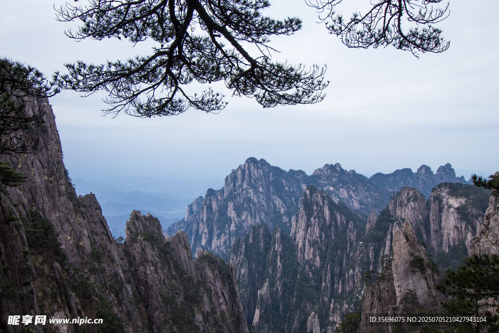 黄山奇峰与松景
