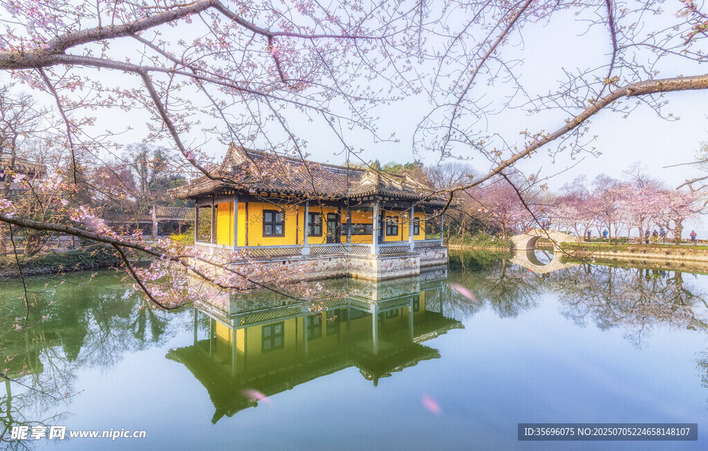 樱花与古建筑