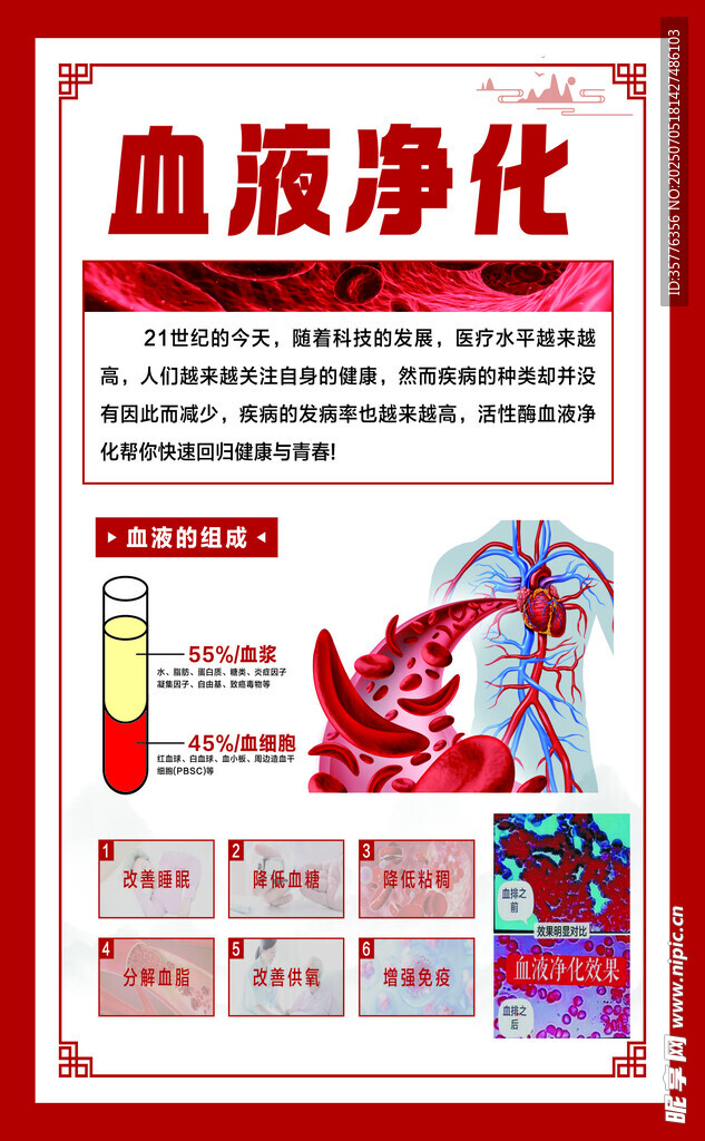 血液净化宣传海报