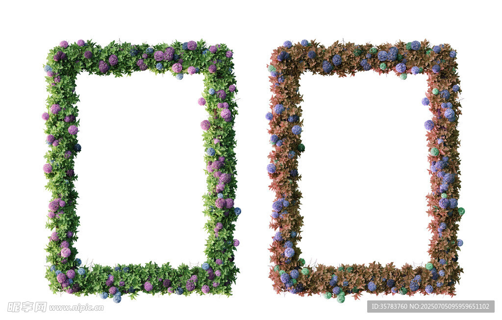 植物边框