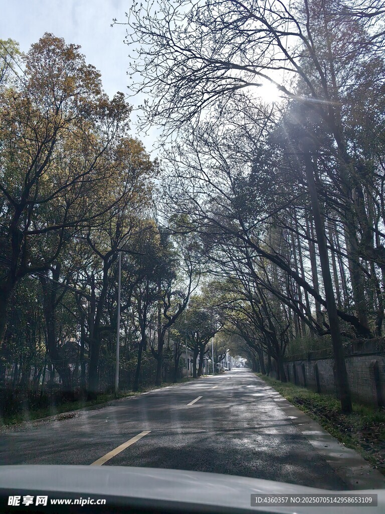 乡间小路