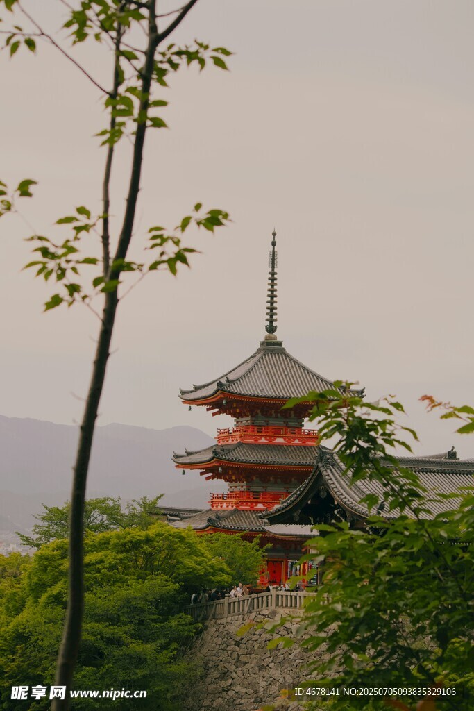 日式古塔隐于葱郁林间