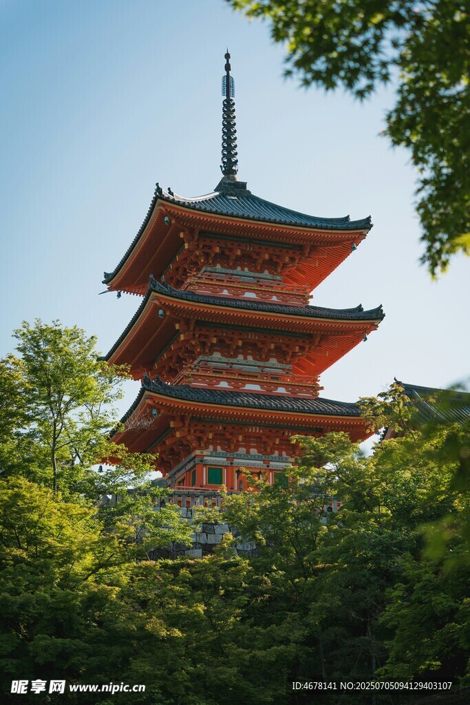 日式宝塔隐于葱郁绿树间