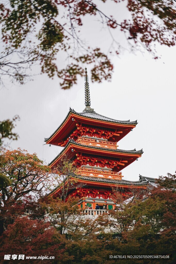 日式宝塔与秋日树木景观