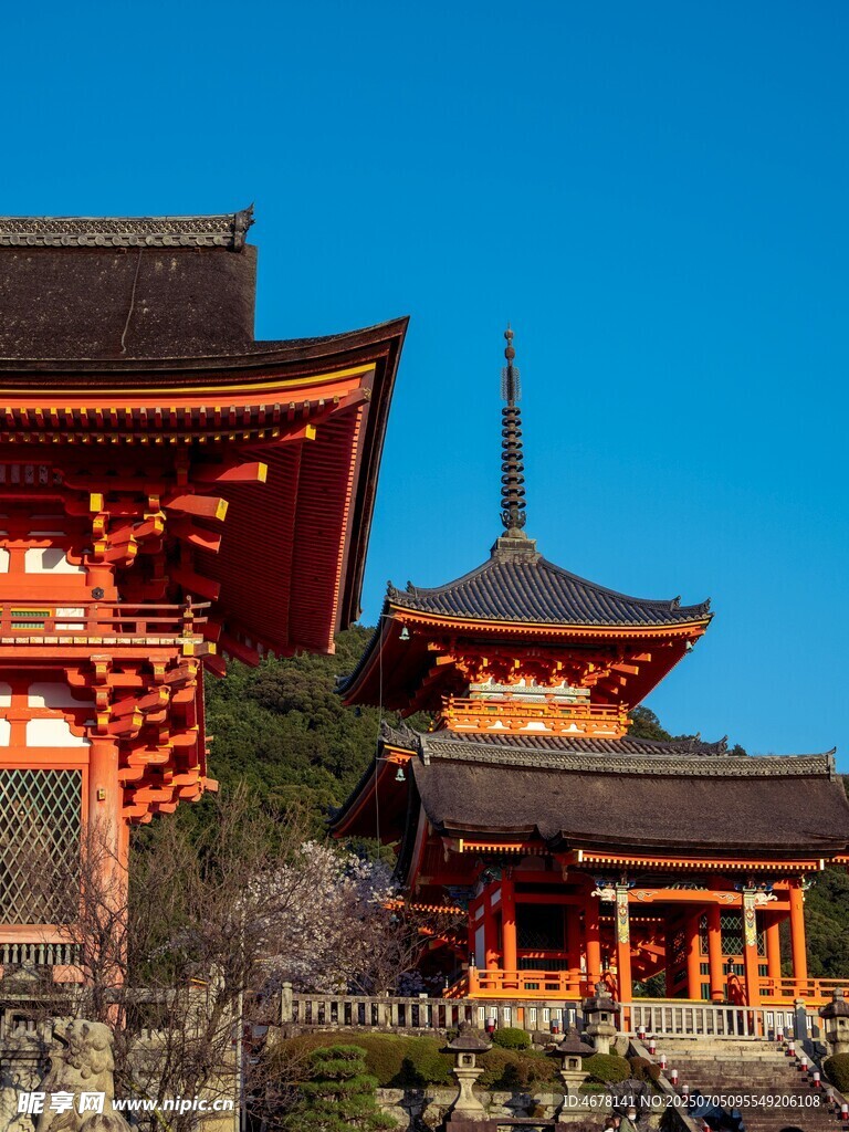 日本传统寺庙夜景