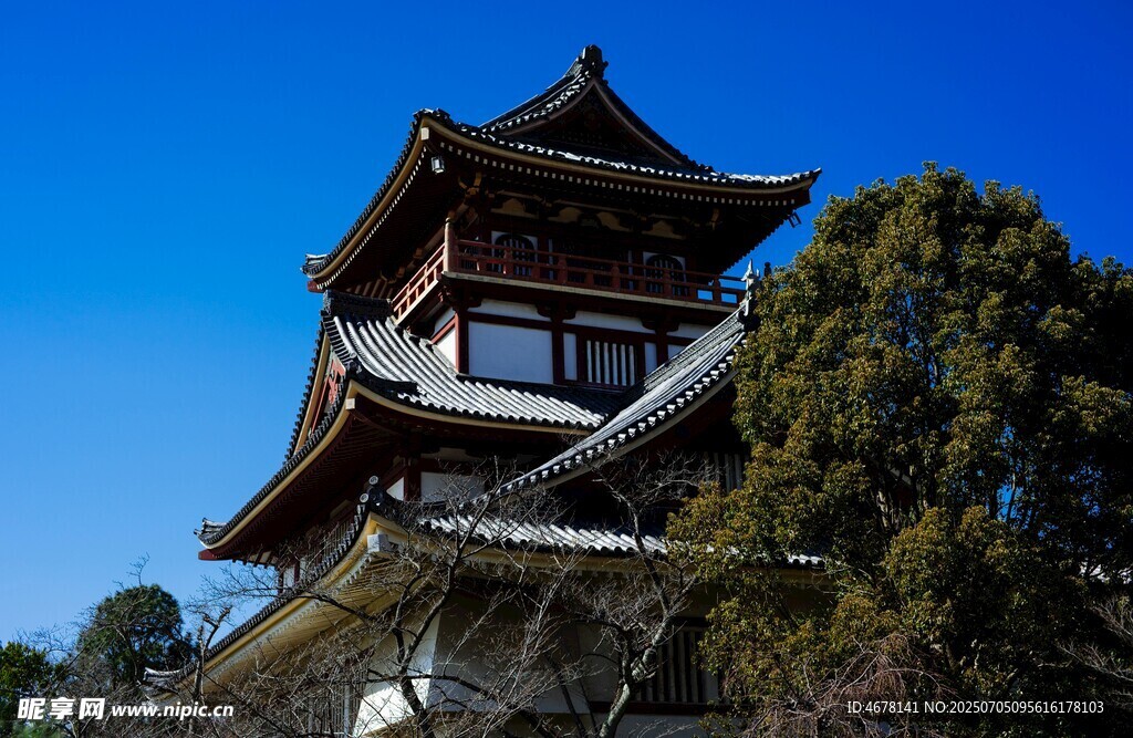 中式古建筑塔楼景观