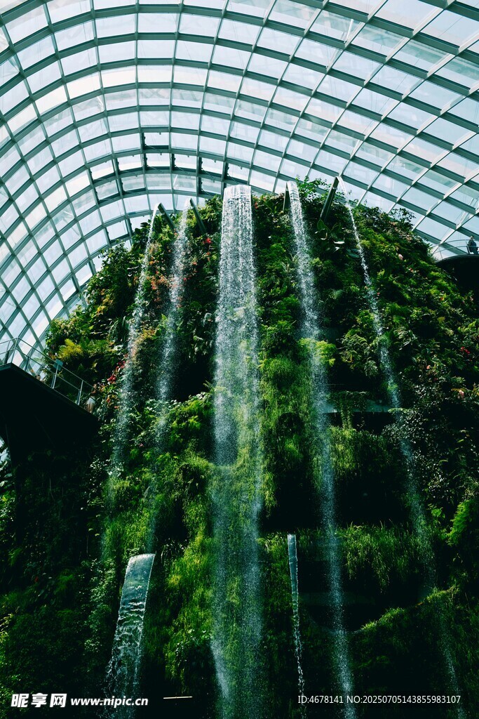 室内绿植瀑布景观